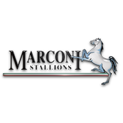 Marconi Stallions